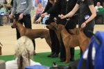 080420_vasteras_8824
