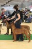 080420_vasteras_8825