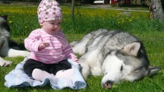 Lovisa och Akela, Sommaren 2009