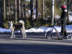 Nanok och jag under ett träningspass