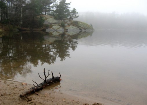 FOTO: Stina Jarenskog