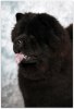 Priscilla 2 år