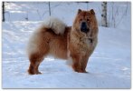 Lovis ca.1 år
