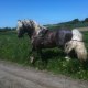lottatoby 013