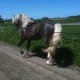 lottatoby 014