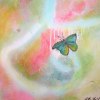 Butterfly 40x40
