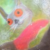 CatDance 40x40