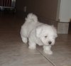 Milton