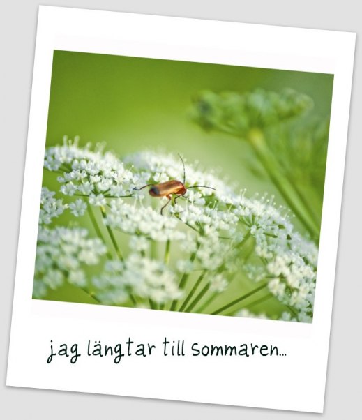 Härliga sommar.