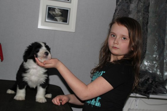 Clara ställer upp en av valparna :)