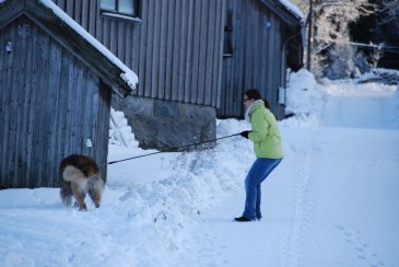 Max - det är halt!