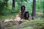 Max och Nelson poserar