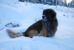 2010-12-09 MAX
