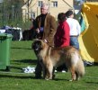 Max första utställning i Skara 18 maj 2005