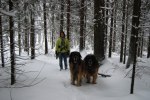 Rosangela får draghjälp i snön.