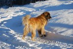 2011-01-13 Nelson