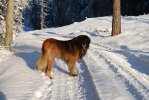2011-01-13 Max