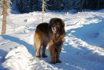 2011-01-13 Max