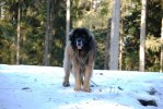 2011-02-03 Max