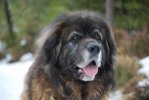 2011-02-26 Max