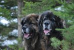 2011-02-26 Nelson och Max