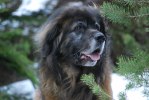2011-02-26 Max