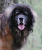 2011-02-26 Max