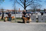2011-04-24 029