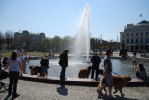 2011-04-24 226