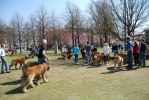 2011-04-24 240