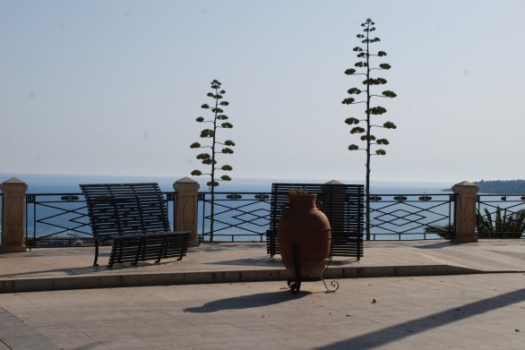 Sciacca (kaktusblommor)