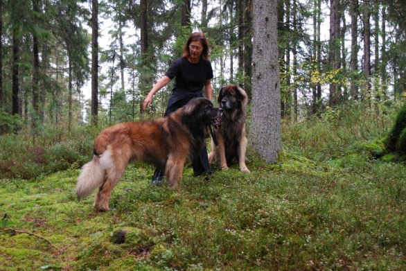 Kom nu vovvar - husse ska fotografera oss!