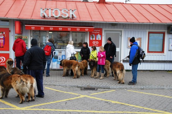 Samling vid färjan till Marstrand