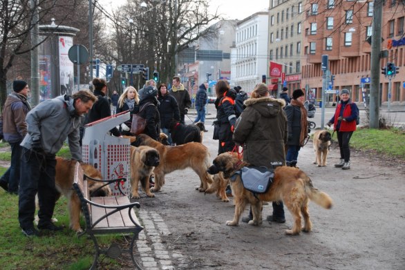 Samling vid Heden