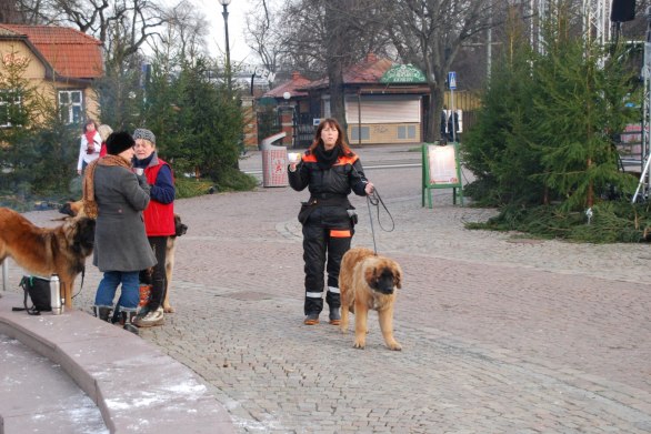 Maria - som ordnat träffen!!