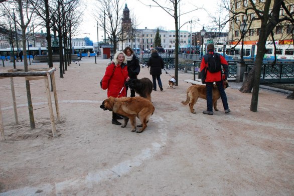 På väg mot Gustavs Adolfs torg (vi tog genvägen)