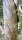 Spiraltall_IMG_0252