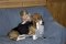 Jakob_Reset_MG_1520