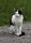 Lisa_MG_3951