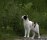 Lisa_MG_3916