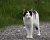 Lisa_MG_3938
