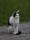 Lisa_MG_3947