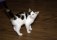 Maja_MG_5771