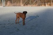 dec 045