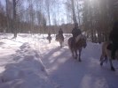 DSC01192