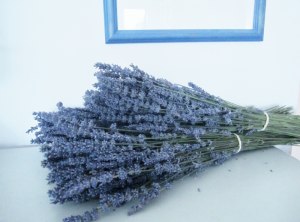 Härligt Doftande Extra Blå Lavendel Knippen!