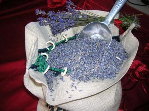 Doftande Lavendelblommor!