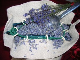 Doftande lavendelblommor
