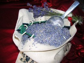 Härligt doftande Lavendelblommor från Provance!