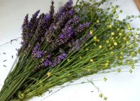 Ljuvligt Doftande Lavandelblommor och Linbollar!